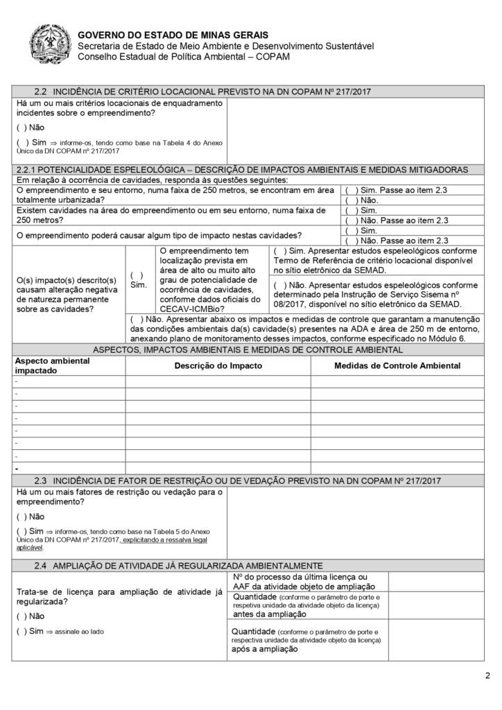 Modelo de relatório ambiental simplificado no papel 02